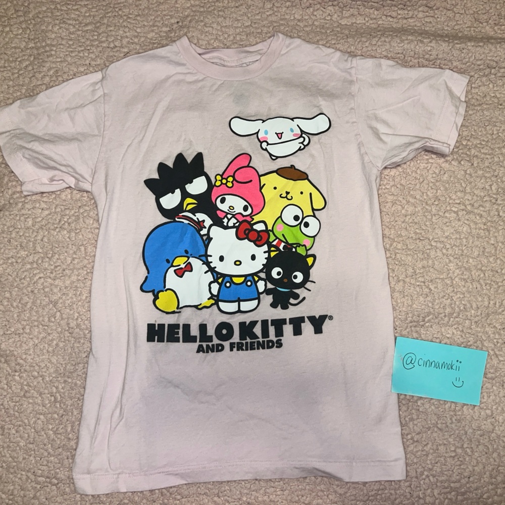Pink Hello Kitty and Friends / Sanrio T-shirt